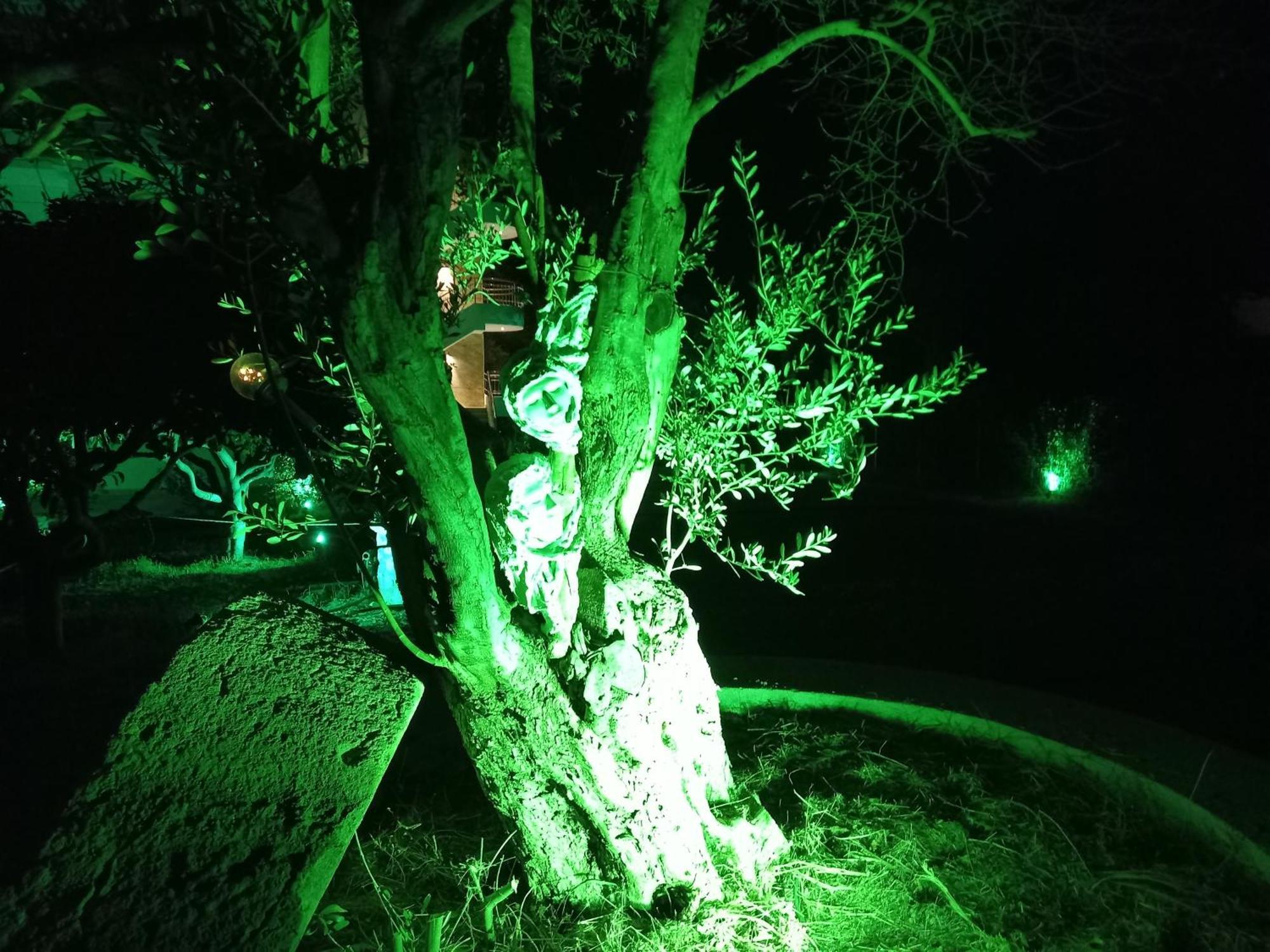Sweet Luxury 5 Ialysos (Rhodes)